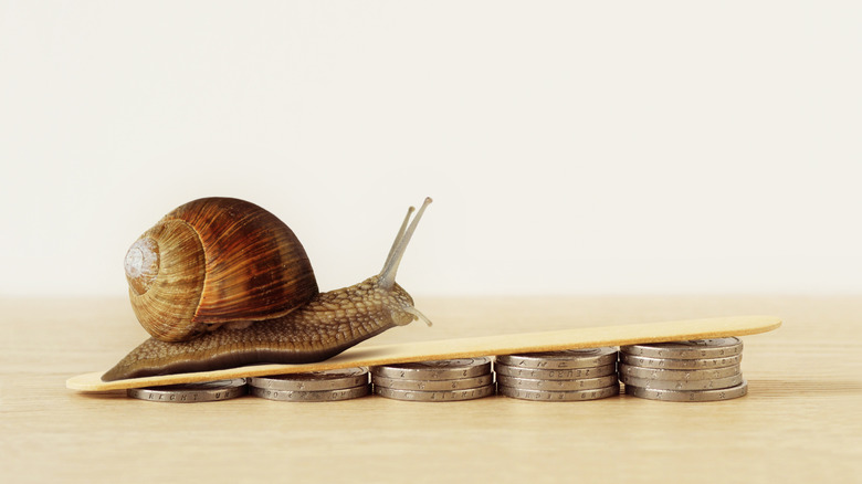 snail climbing piles of coins
