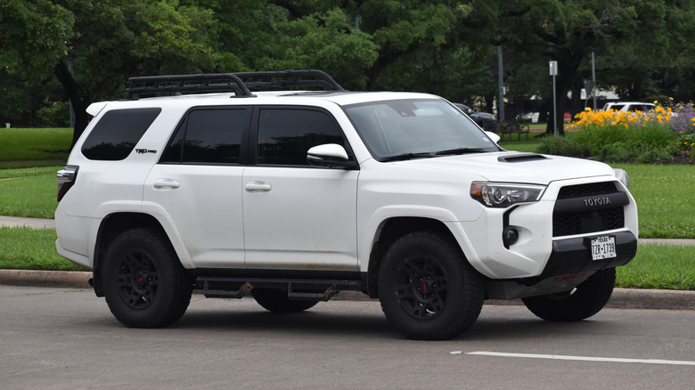 A new white Toyota 4Runner SUV cruising at a nature reserve.