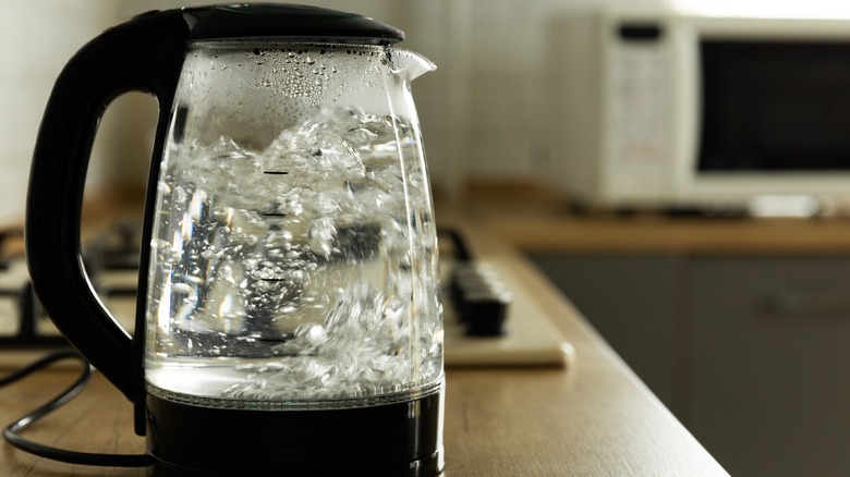 Electric tea kettle