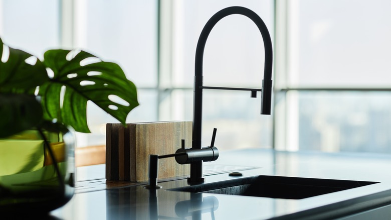 black goose neck kitchen faucet with a plant