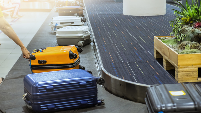 taking a suitcase off conveyor belt