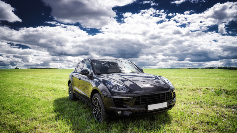 A Porsche Macan is parked on a fresh green spring grass