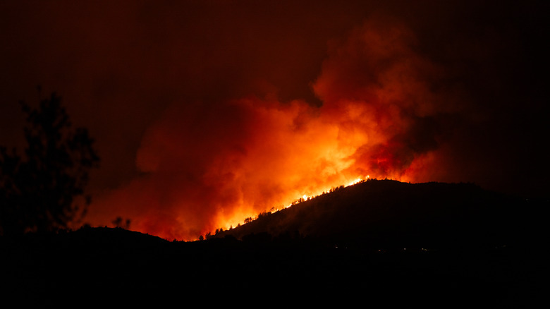 A forest fire in a residential area at night.
