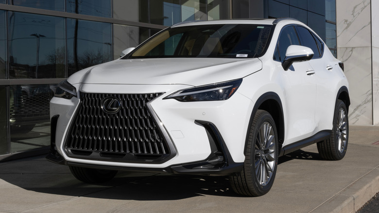 A white 2026 Lexus NX on display.