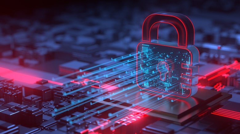 identity protection image