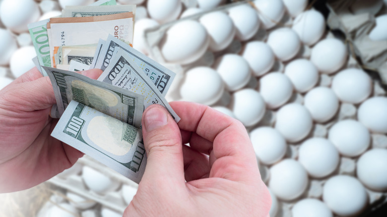A close-up of hands holding hundred dollar bills with crates of white eggs in the background.