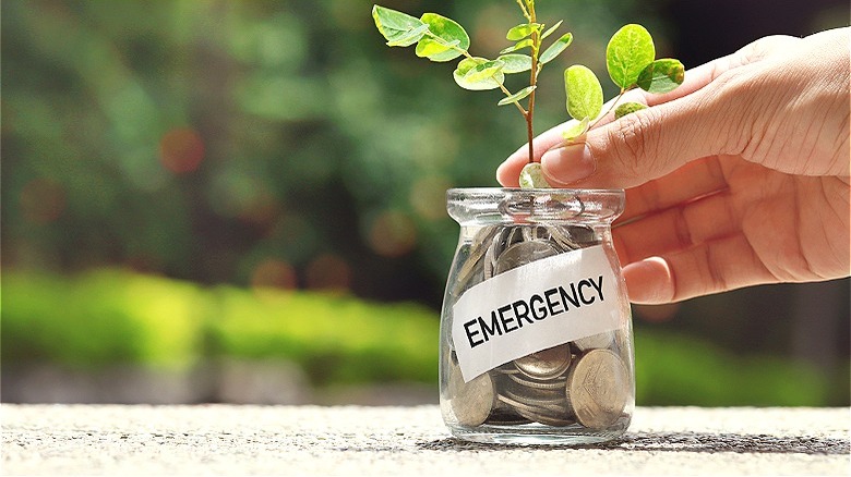 Plant growing from emergency jar