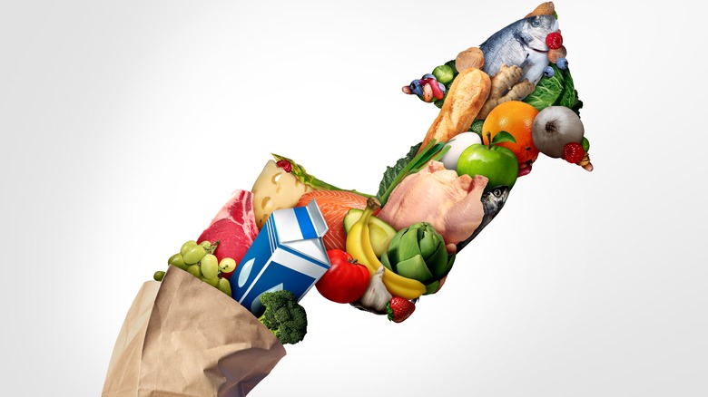 grocery bag showing price increase