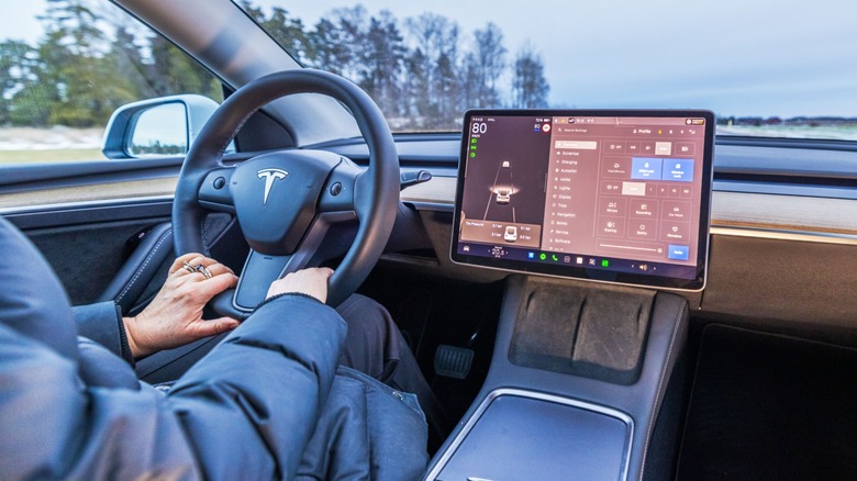 Driver holding the steering wheel inside a Tesla, with the large central touchscreen display visible on the dashboard