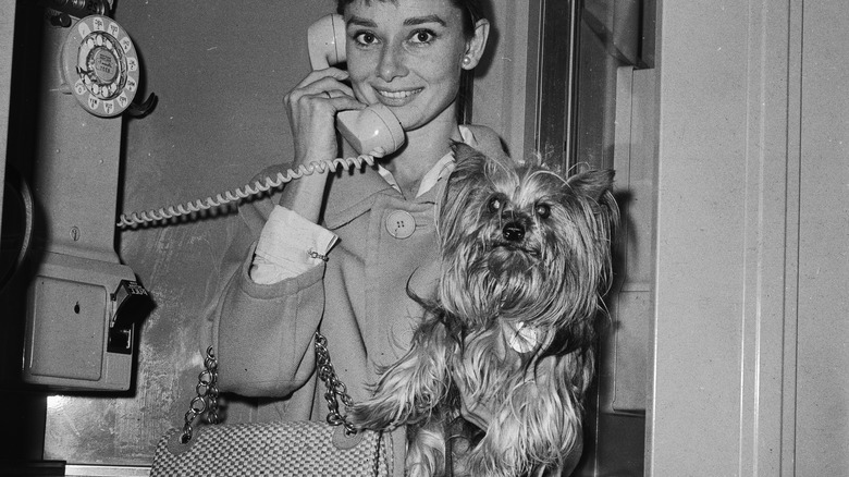 Audrey Hepburn holding dog and handbag while on phone