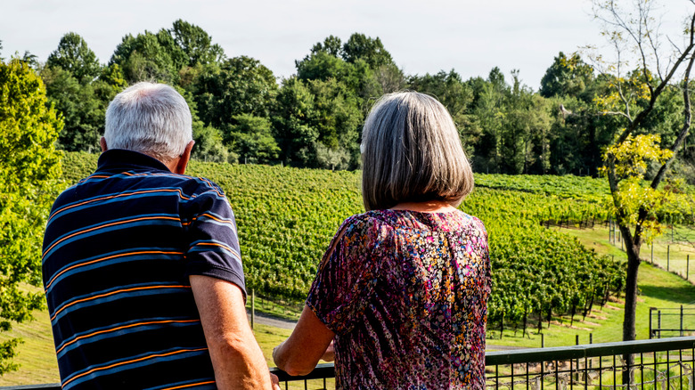 Mature couple overlooking Virginia vineyard in the fall.