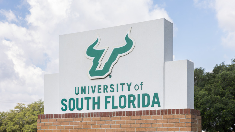 The University of South Florida is located in Tampa and just outside of the University Census Designated Place.