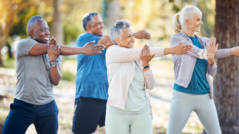 Senior fitness group in park.