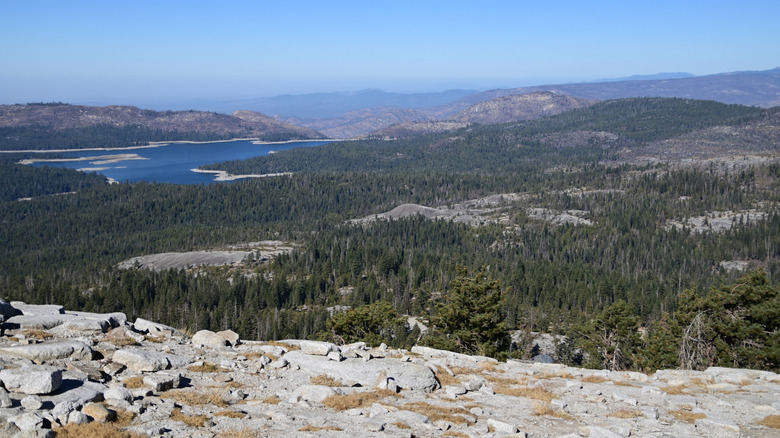 View from the top of Bald Mountain , California just above Shaver lake.