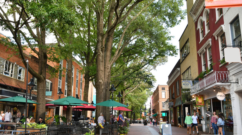 Charlottesville's historic main street outdoor mall