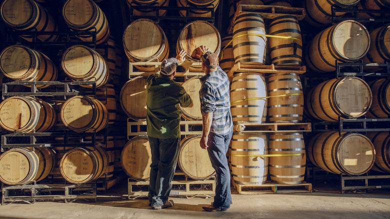 Two men assessing barrels of whiskey in a distillery.