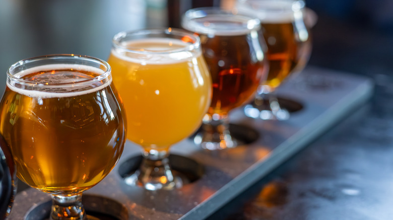 A beer tasting flight featuring different beer types on a wooden board