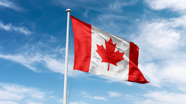 Canada flag waving at cloudy sky background.