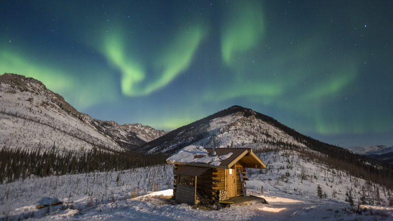 White Mountains National Recreation Area, Interior, Alaska.