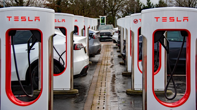 Tesla EV charging stations in a line with cars charging