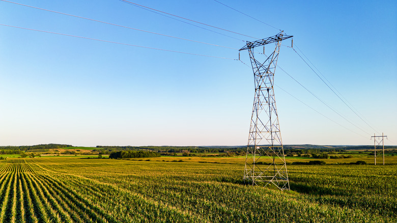 power line over a field