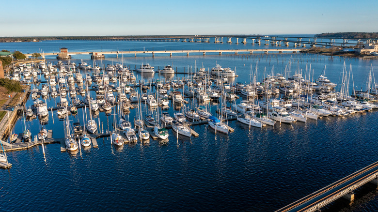 Aerial View of the Waterfront and a Large Marina in New Bern North Carolina