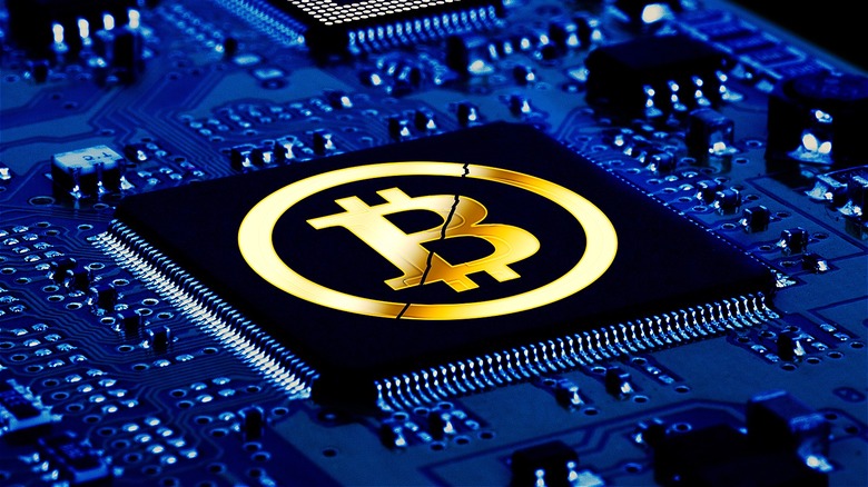 Bitcoin divided in half