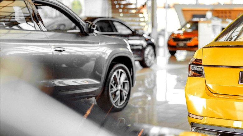 Cars displayed at dealership showroom