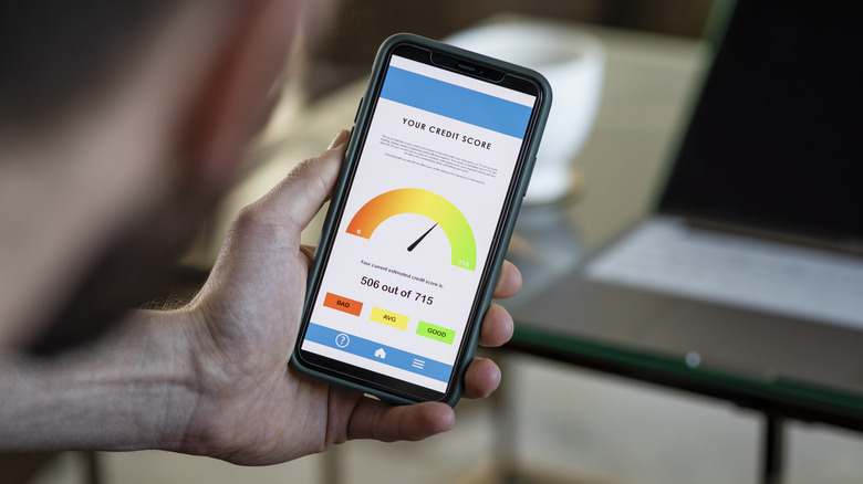 Person looking at credit score