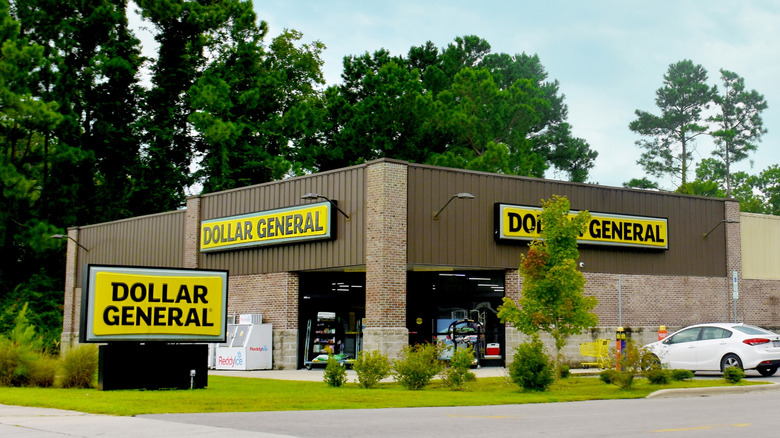 An exterior shot of a Dollar General store framed by lush trees.