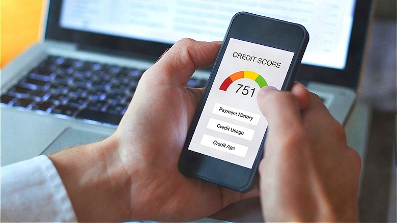 Person looking at credit score