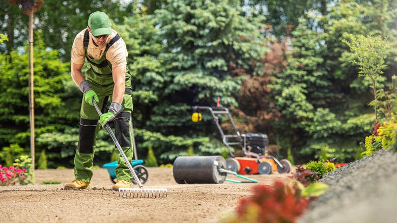 Gardener working on landscaping