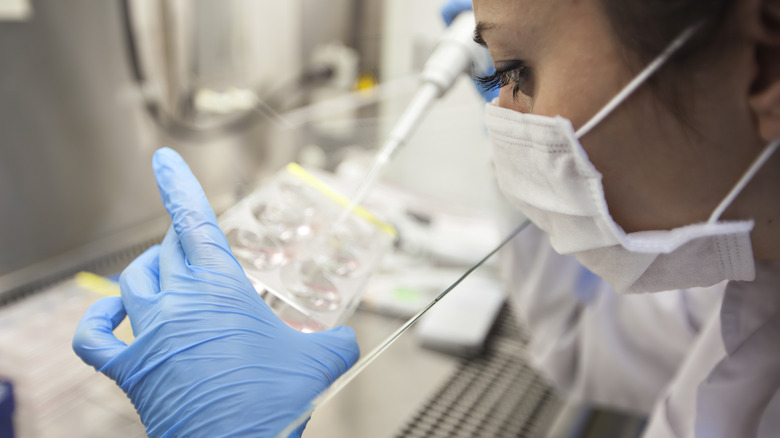 A researcher in a lab