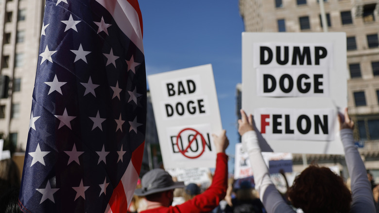 People protesting Elon Musk and DOGE