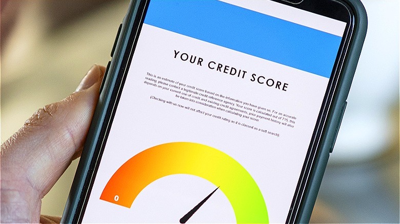 Person looking at credit score