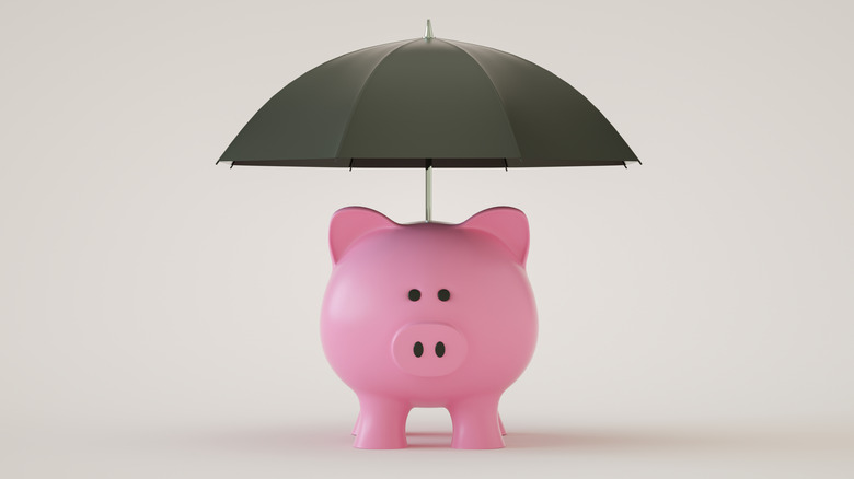 Piggy bank under an umbrella