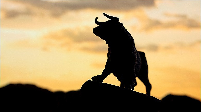 Silhouette of a bull