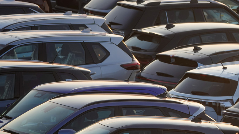 Rows of SUVs parked in a lot.