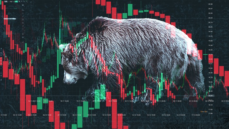 Bear market image