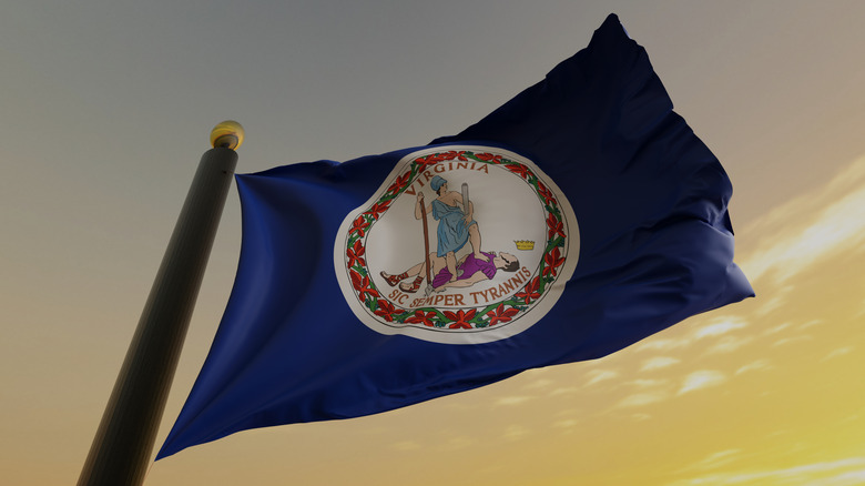 Virginia's state flag flying