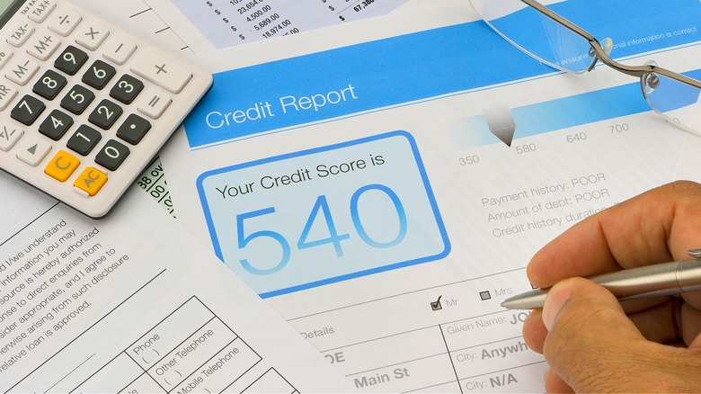 Person looking over credit score
