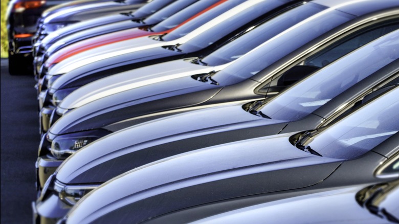 Close-up of new vehicles lined up in rows on a dealership lot.