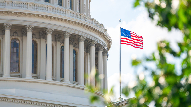 An American flag visible to right of Capitol building, framed by trees, on a sunny day