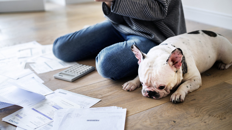 Black-and-white dog laying next to person on floor by pile of paperwork.