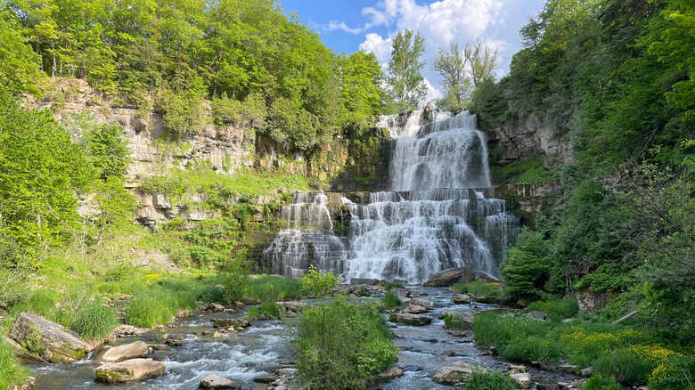 Chittenango Falls State Park waterfall