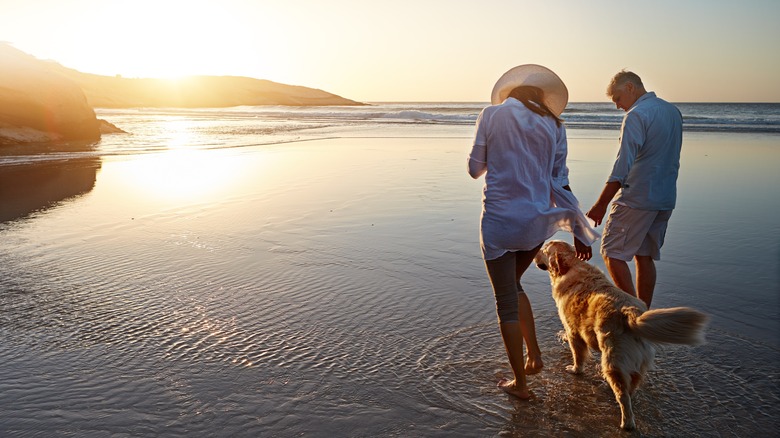 Older couple walking dog along beach at sunset