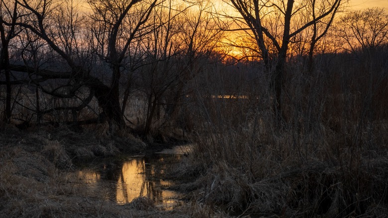 sunset at Sportsman's Park in Decatur, Illinois