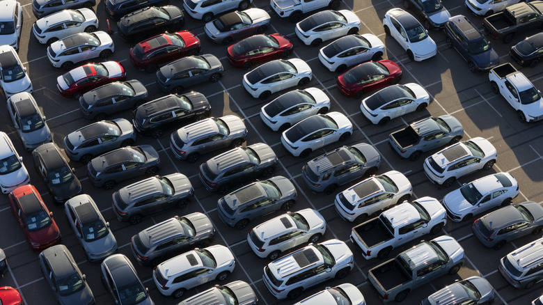 Rows of cars in a large lot
