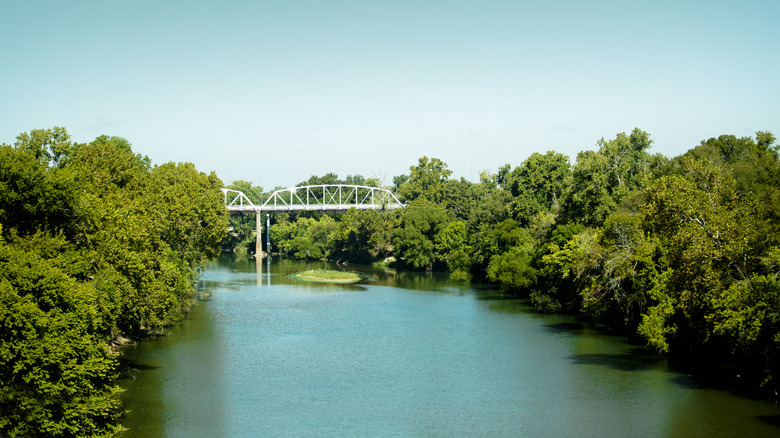River running through grove and under bridge