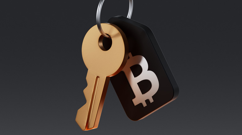 rendering of a keychain with a Bitcoin logo on the tag